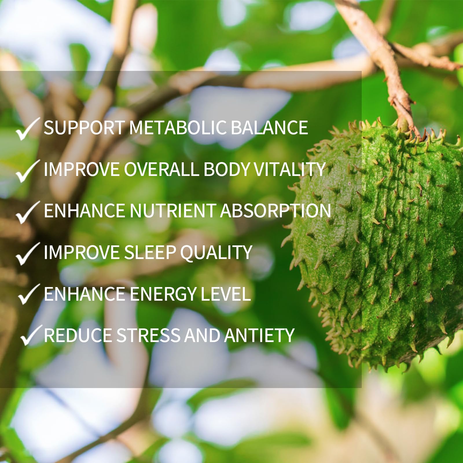 Nutrively Soursop Herbal Supplement lifestyle scene