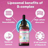 Nuvamin Liposomal B-Complex bottle with raspberry flavour label