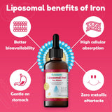 Nuvamin Liposomal Iron Drops bottle side view showing dosage information
