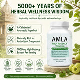 Nuvirox Amla Superfruit Capsules back view with ingredients