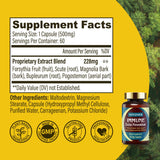 NUWONDER daily wellness Support Supplement packaging with natural background