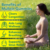 Nyloriaine Mullein Gummies 200g back view with nutritional information