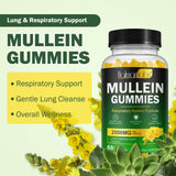 Nyloriaine Mullein Gummies in a bowl