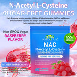 Nyloriaine NAC Gummies 1000mg natural flavour ingredients