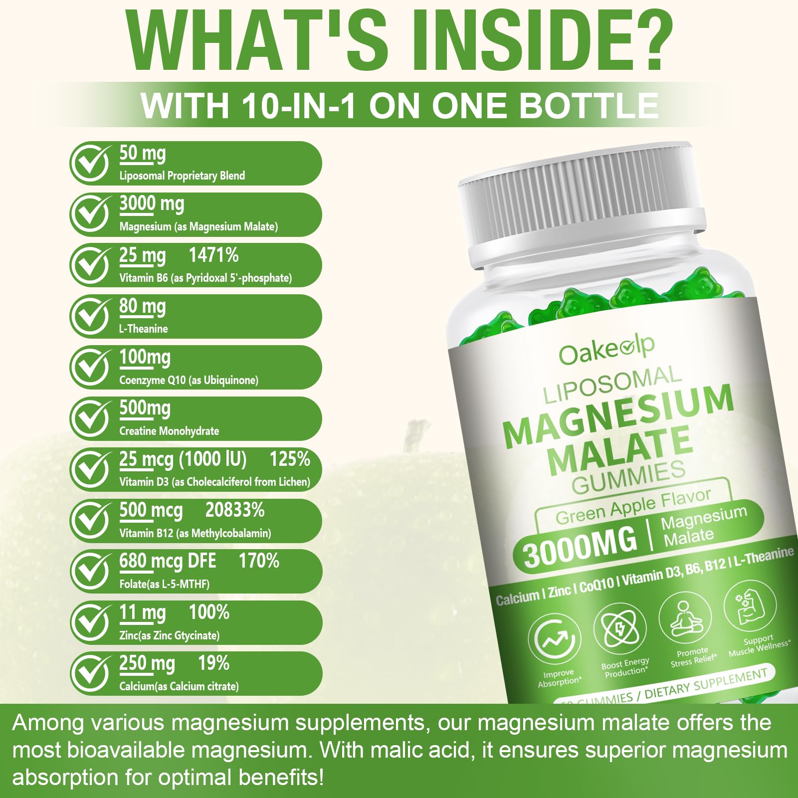 Oakevlp Magnesium Malate Supplement 3000mg capsule close-up