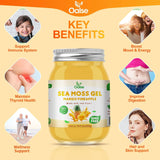 OALSE Sea Moss Gel 524g in a smoothie preparation