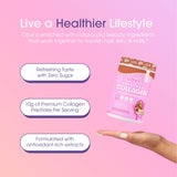 Obvi More Than Collagen Powder back view of packaging