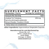 Ocean Rx Blue Spirulina 82g product details