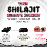 OH MY CHEWY Shilajit Gummies displayed with ingredients