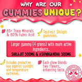 OH MY CHEWY Shilajit Gummies in a bowl