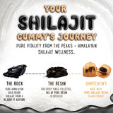 OH MY CHEWY Shilajit Gummies in a bowl with fruit