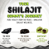 OH MY CHEWY Shilajit Gummies on a wooden table