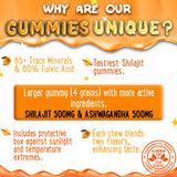 OH MY CHEWY Shilajit Gummies with ingredients displayed