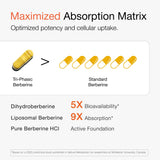 Olenphogy Triple-Phase Berberine Supplement bottle with measuring spoon