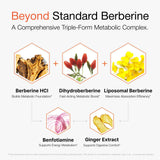 Olenphogy Triple-Phase Berberine Supplement capsules close-up