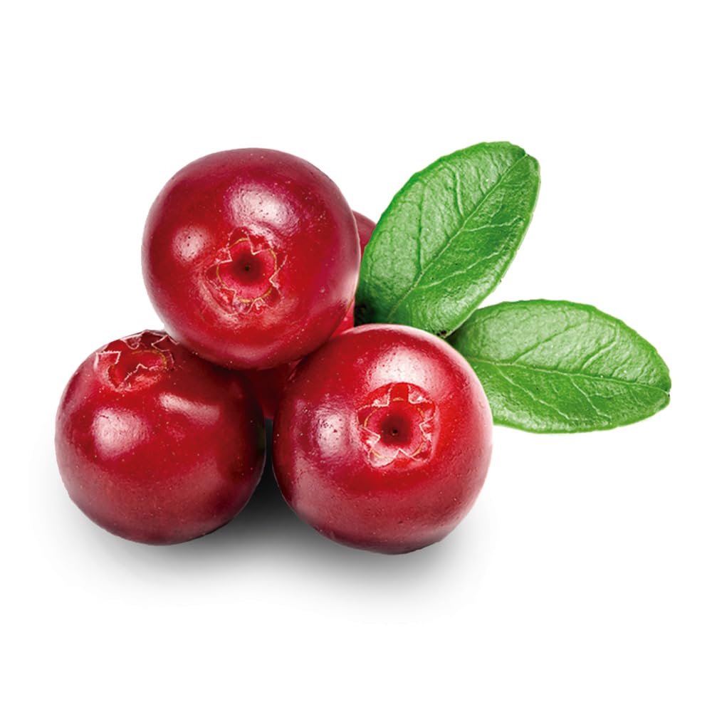 OLIVENATION Cranberry Extract 227g bottle side view