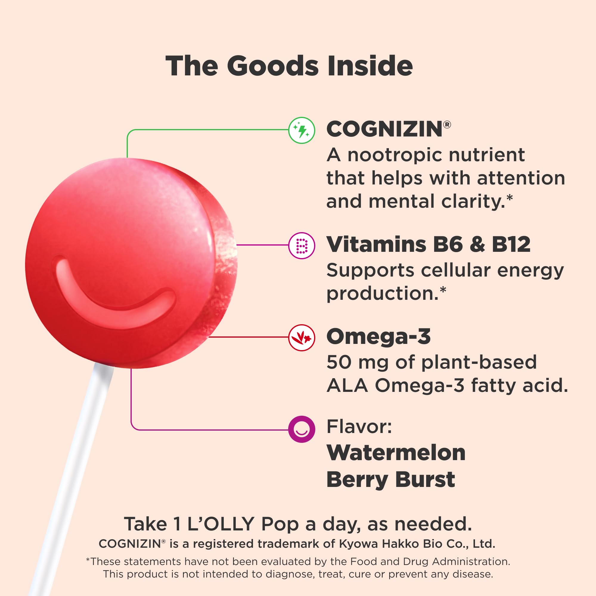 OLLy Focus Buddies L’OLLY Pops showing watermelon and strawberry flavours