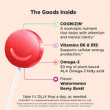 OLLy Focus Buddies L’OLLY Pops showing watermelon and strawberry flavours