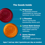 OLLY Kids Chillax Gummies showing the gummies inside the bottle