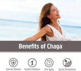 OM MUSHROOM SUPERFOOD Chaga Mushroom Capsules bottle with label