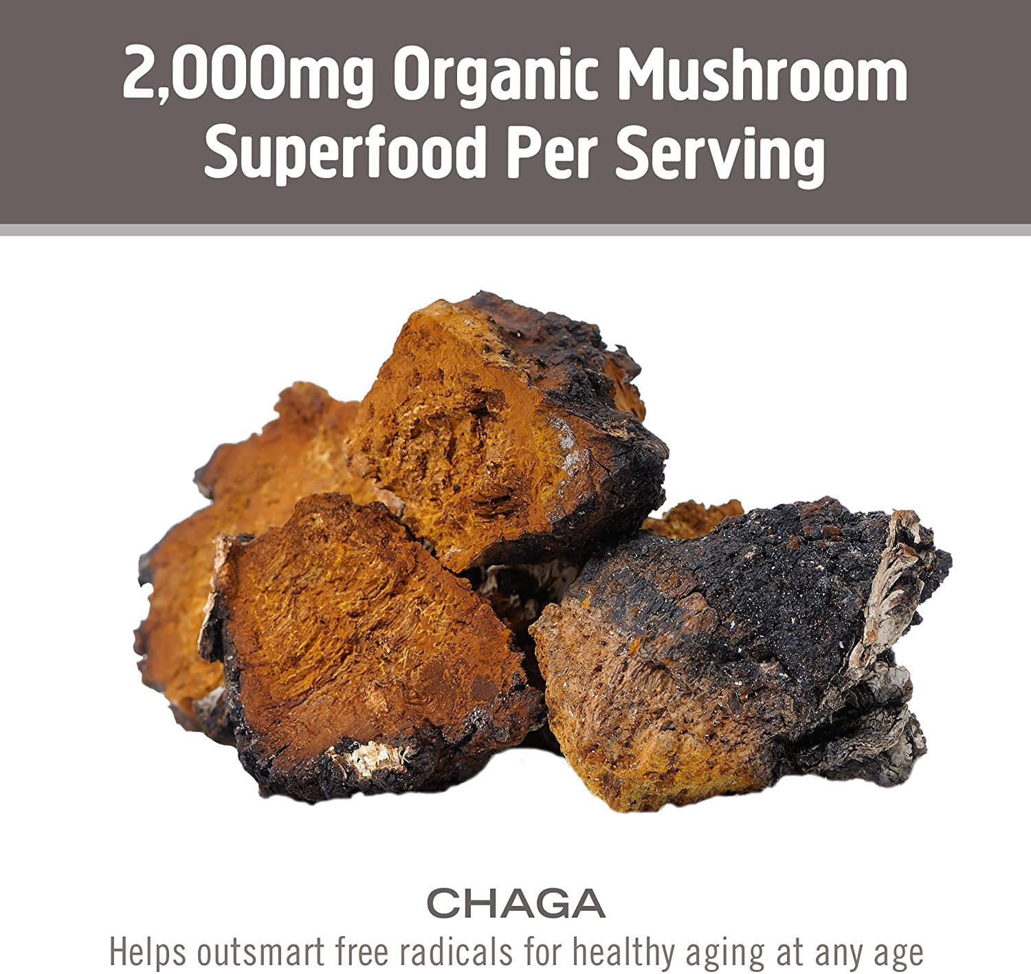 OM MUSHROOM SUPERFOOD Chaga Mushroom Capsules in a hand