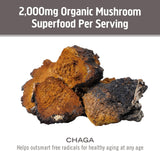 OM MUSHROOM SUPERFOOD Chaga Mushroom Capsules in a hand