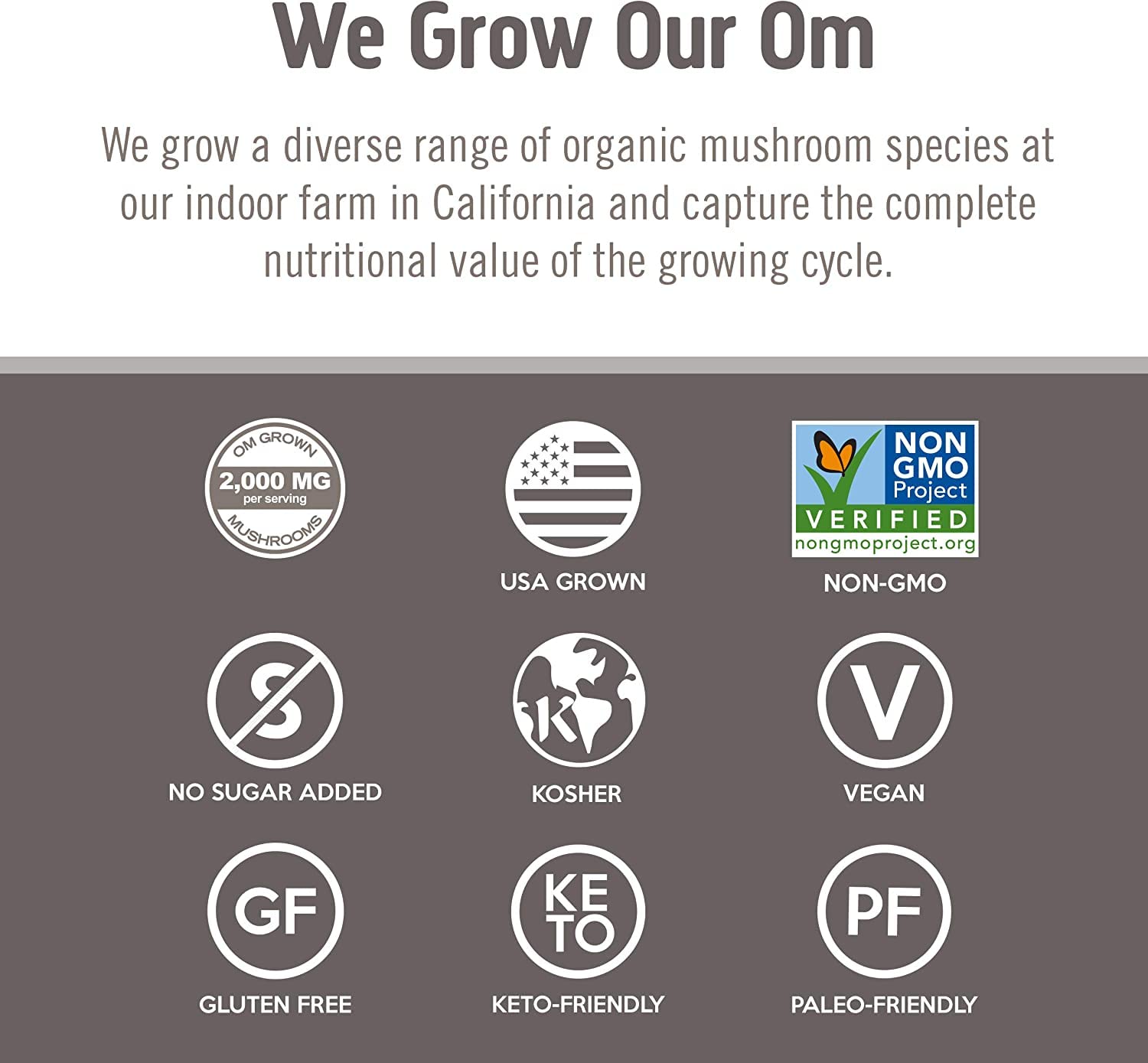 OM MUSHROOM SUPERFOOD Chaga Mushroom Capsules packaging details