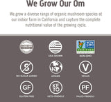 OM MUSHROOM SUPERFOOD Chaga Mushroom Capsules packaging details