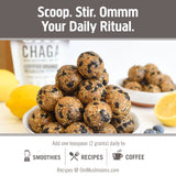 OM MUSHROOM SUPERFOOD Chaga Mushroom Powder close-up