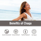 OM MUSHROOM SUPERFOOD Chaga Mushroom Powder in coffee