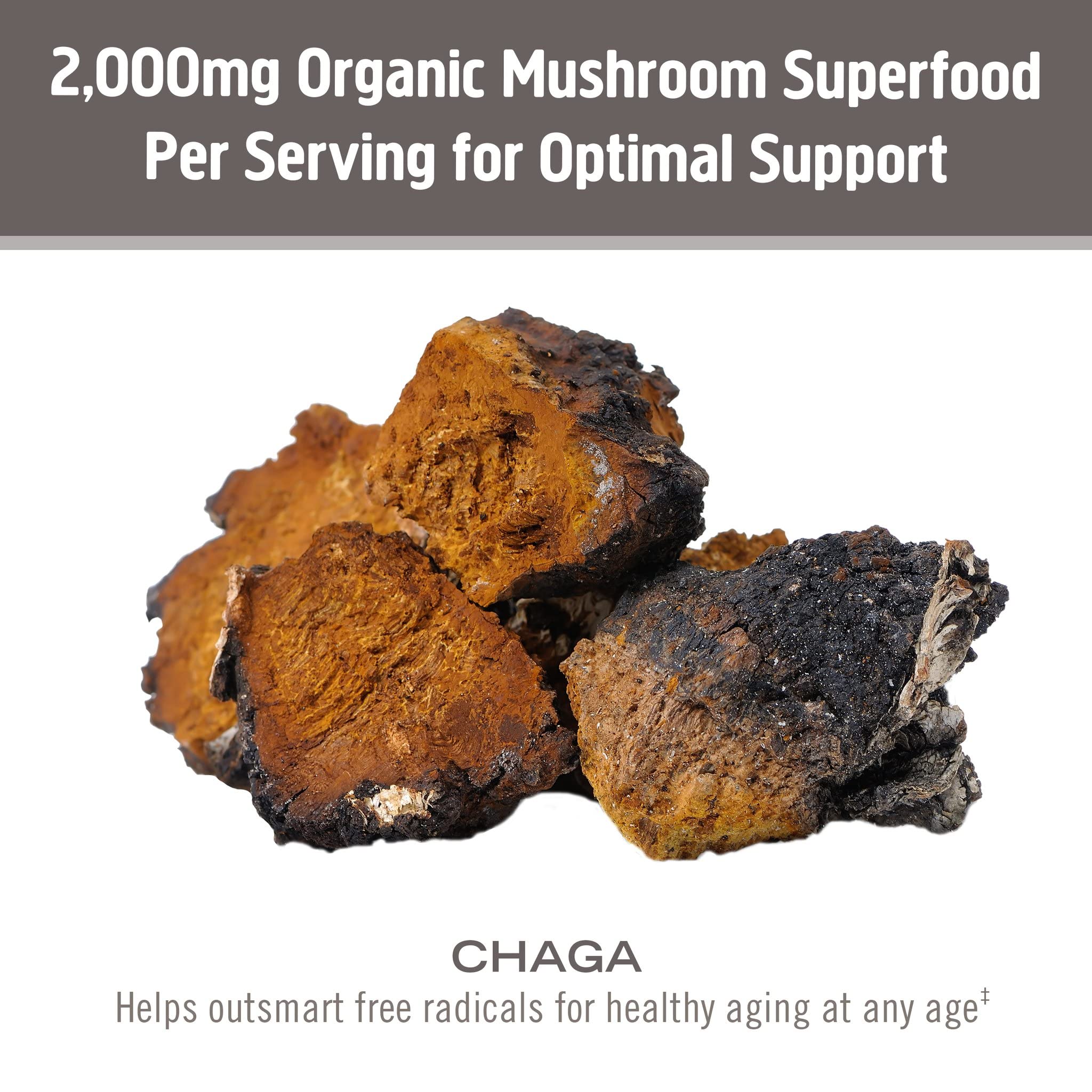 OM MUSHROOM SUPERFOOD Chaga Mushroom Powder nutritional information