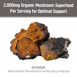 OM MUSHROOM SUPERFOOD Chaga Mushroom Powder nutritional information