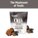 OM MUSHROOM SUPERFOOD Chaga Mushroom Powder scoop