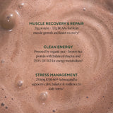 OM MUSHROOM SUPERFOOD Chocolate Protein 546g scoop