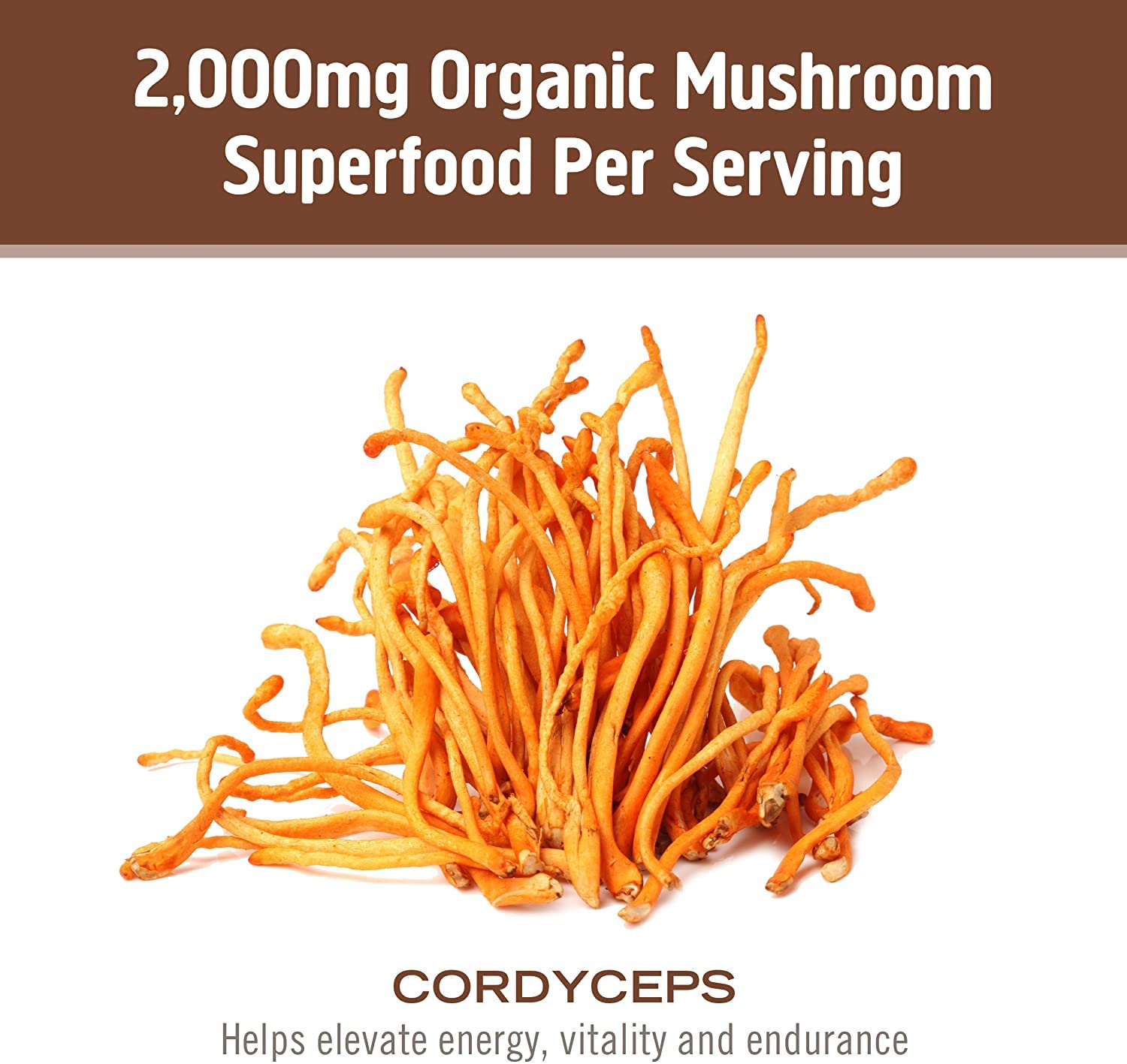 OM MUSHROOM SUPERFOOD Cordyceps Mushroom Capsules in a hand