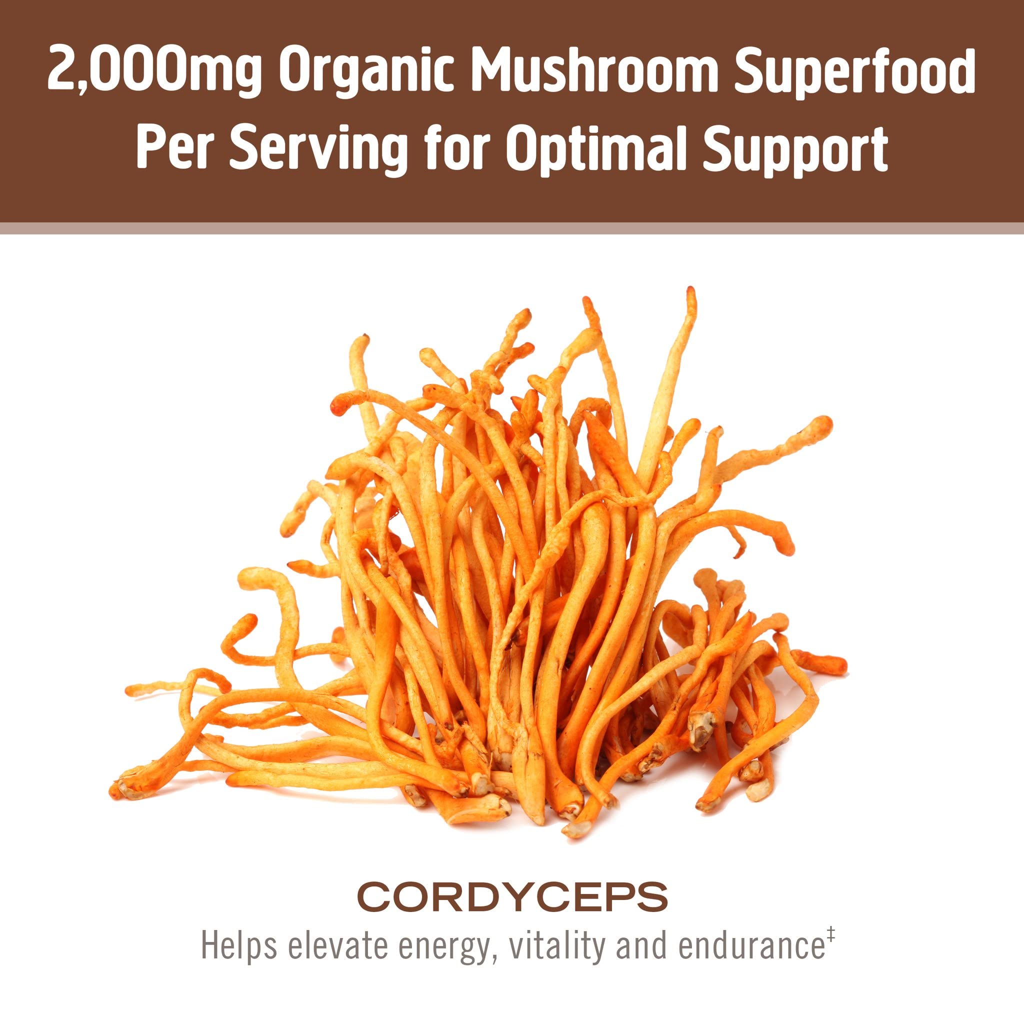 OM MUSHROOM SUPERFOOD Cordyceps Mushroom Powder mixed in smoothie