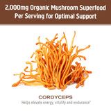 OM MUSHROOM SUPERFOOD Cordyceps Mushroom Powder mixed in smoothie