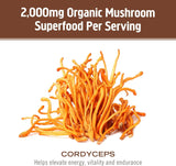 OM MUSHROOM SUPERFOOD Cordyceps Mushroom Powder serving suggestion
