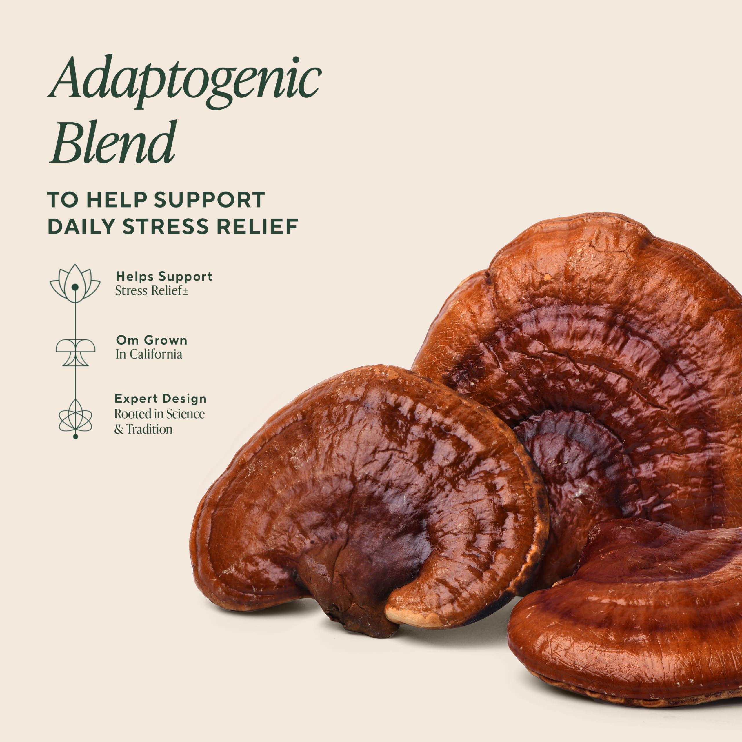 OM MUSHROOM SUPERFOOD daily wellness Formula Capsules with ingredients list