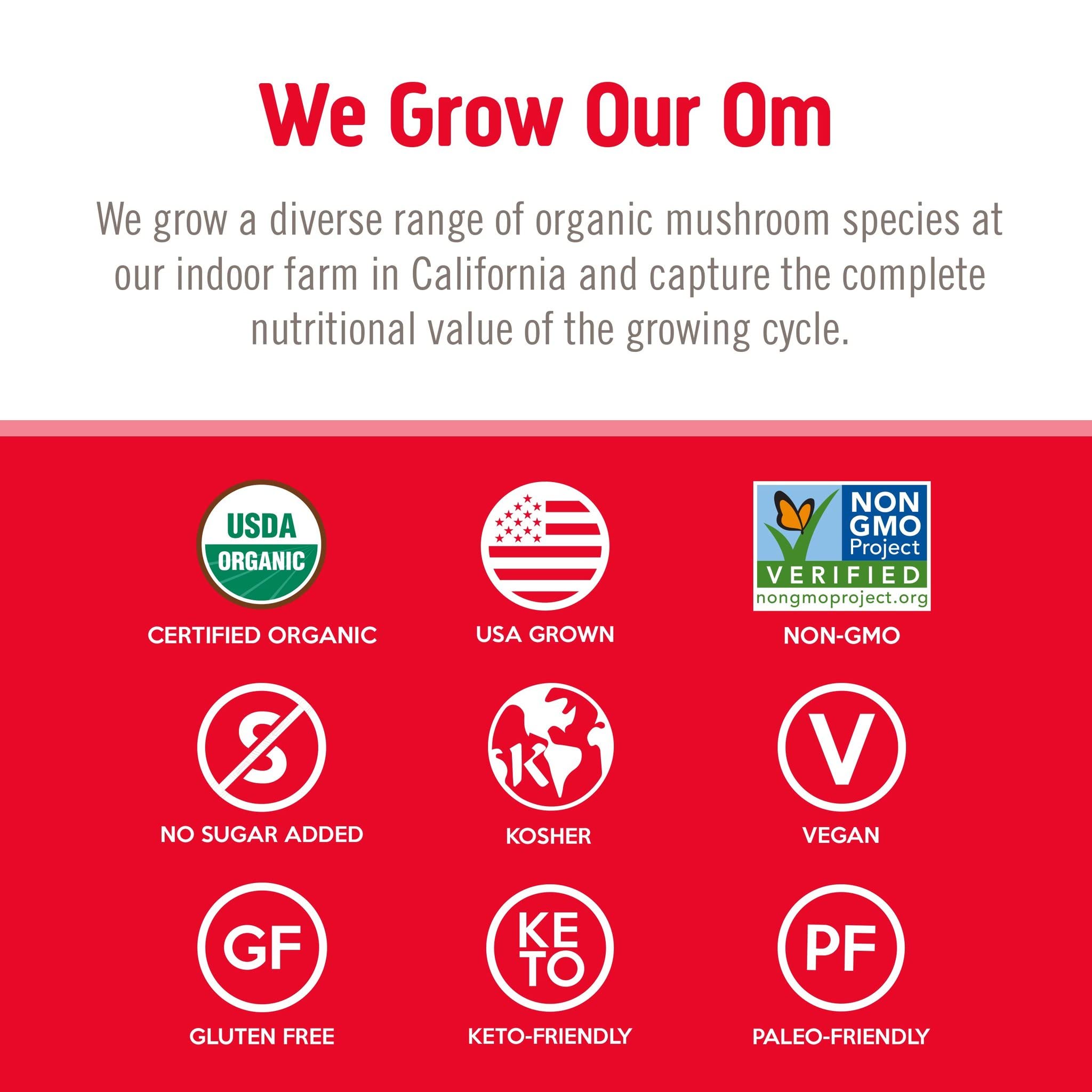 OM MUSHROOM SUPERFOOD daily wellness Superfood Powder 200g lifestyle scene