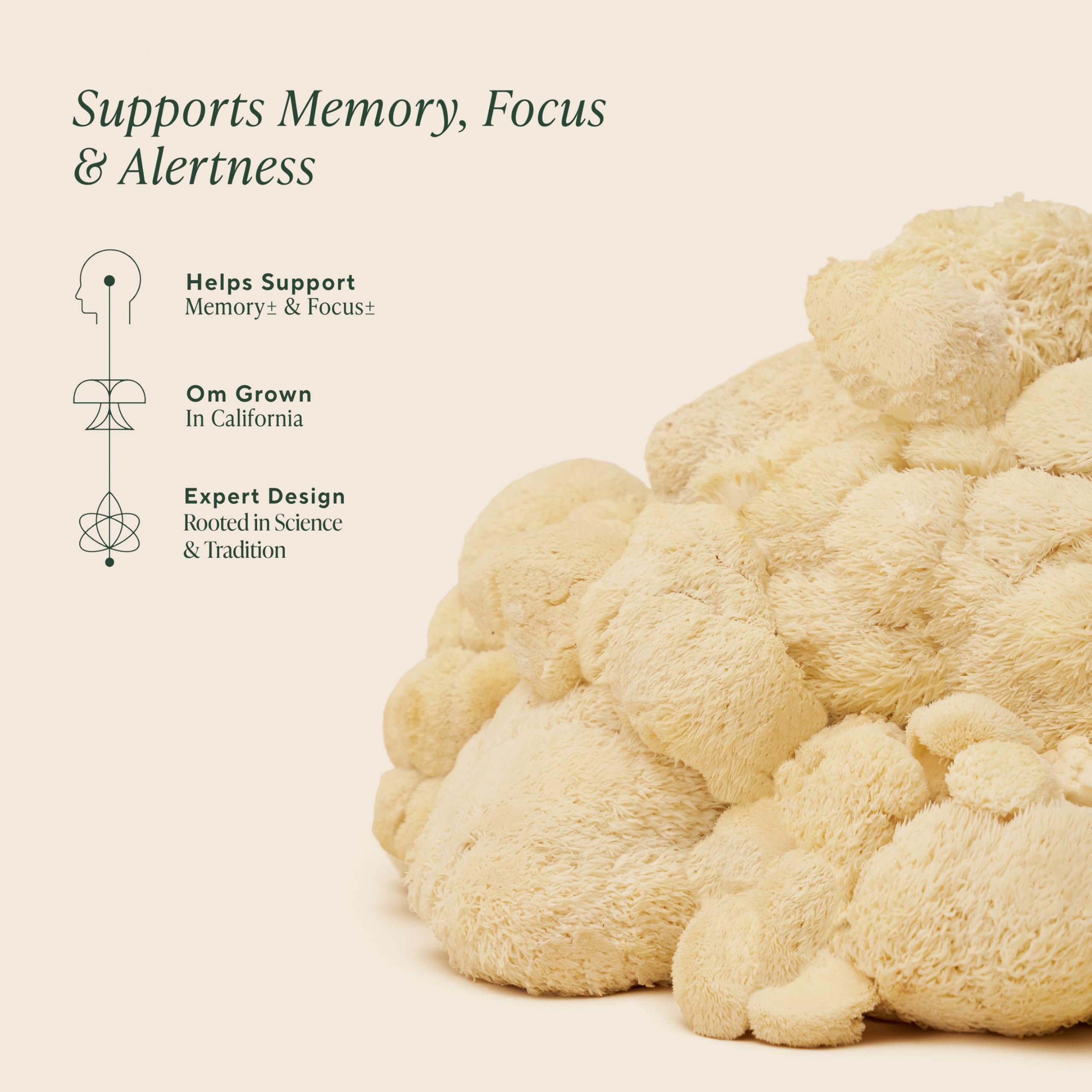 OM MUSHROOM SUPERFOOD Lion's Mane Mushroom Powder 100g serving suggestion