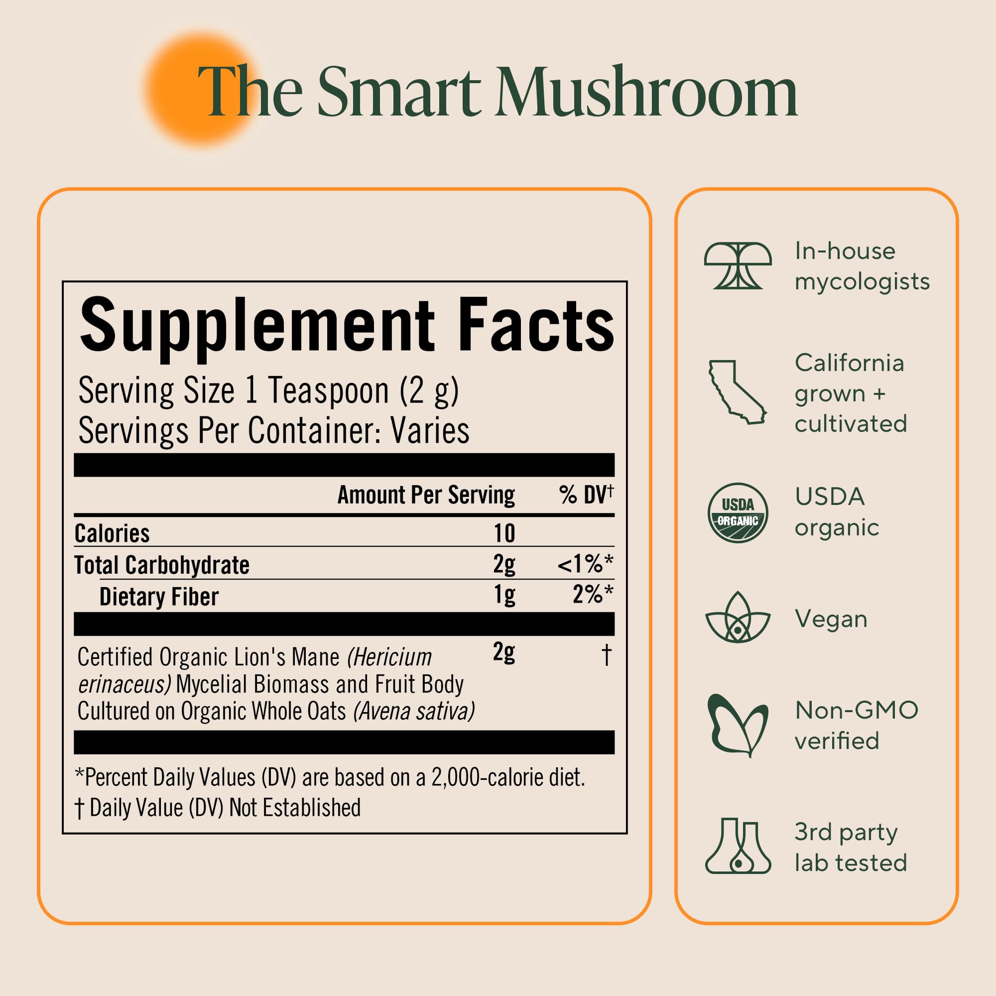 OM MUSHROOM SUPERFOOD Lion's Mane Mushroom Powder lifestyle scene