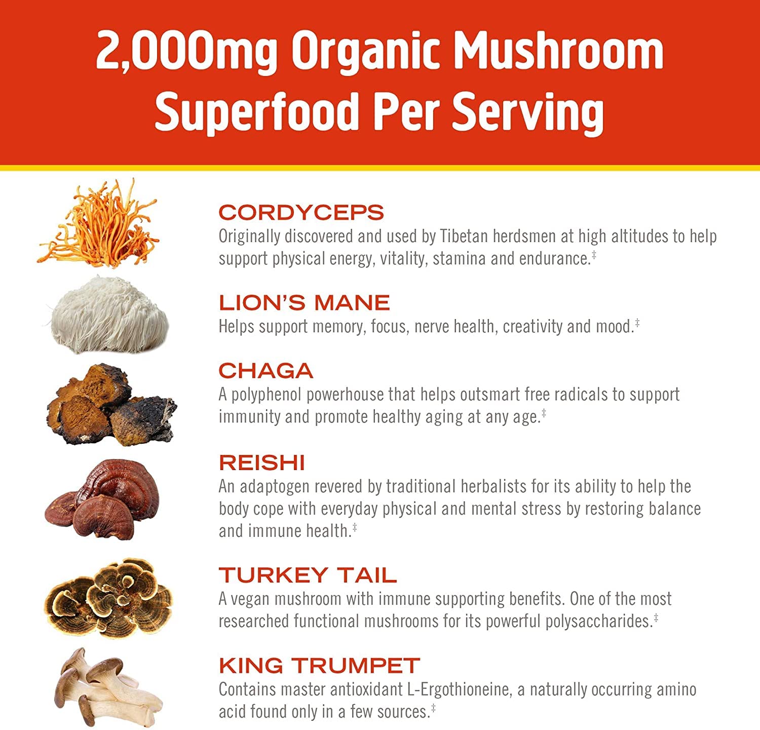 OM MUSHROOM SUPERFOOD Mushroom Blend 2000mg canister on kitchen counter