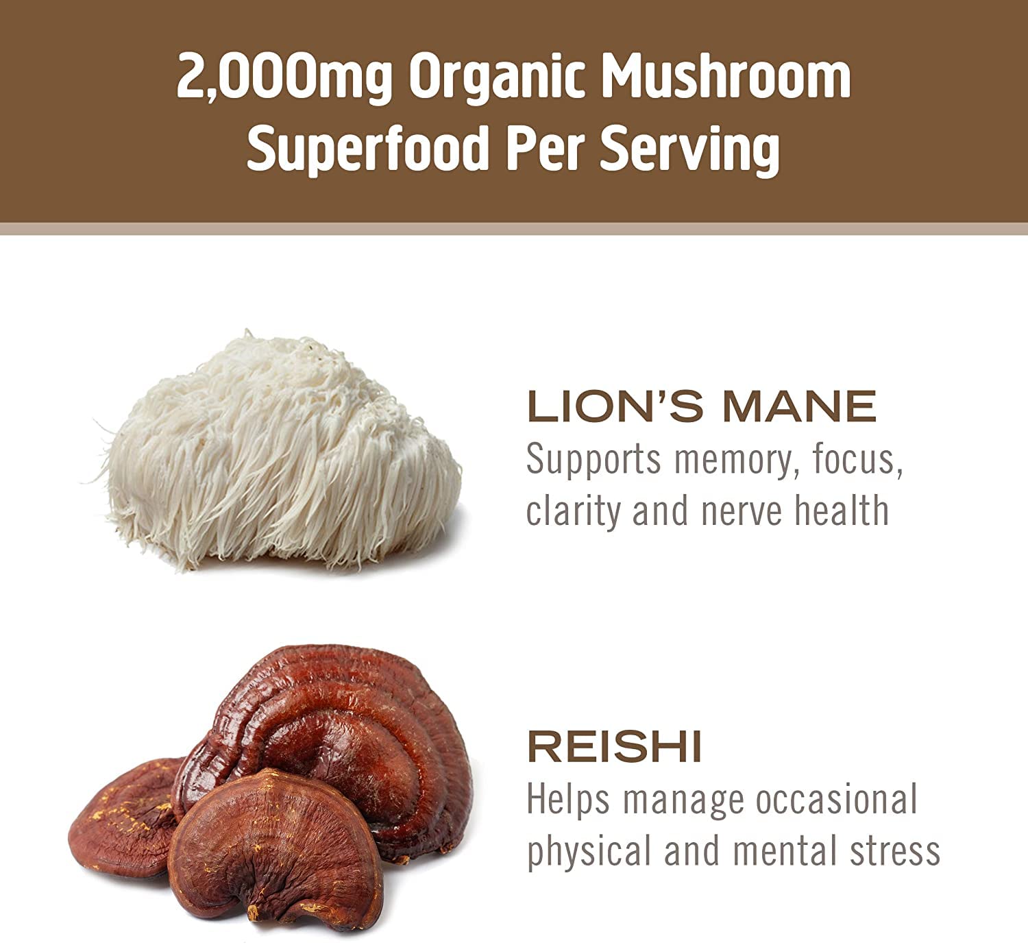 OM MUSHROOM SUPERFOOD Mushroom Blend Capsules opened bottle
