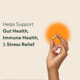 OM MUSHROOM SUPERFOOD Mushroom Supplement ingredients list