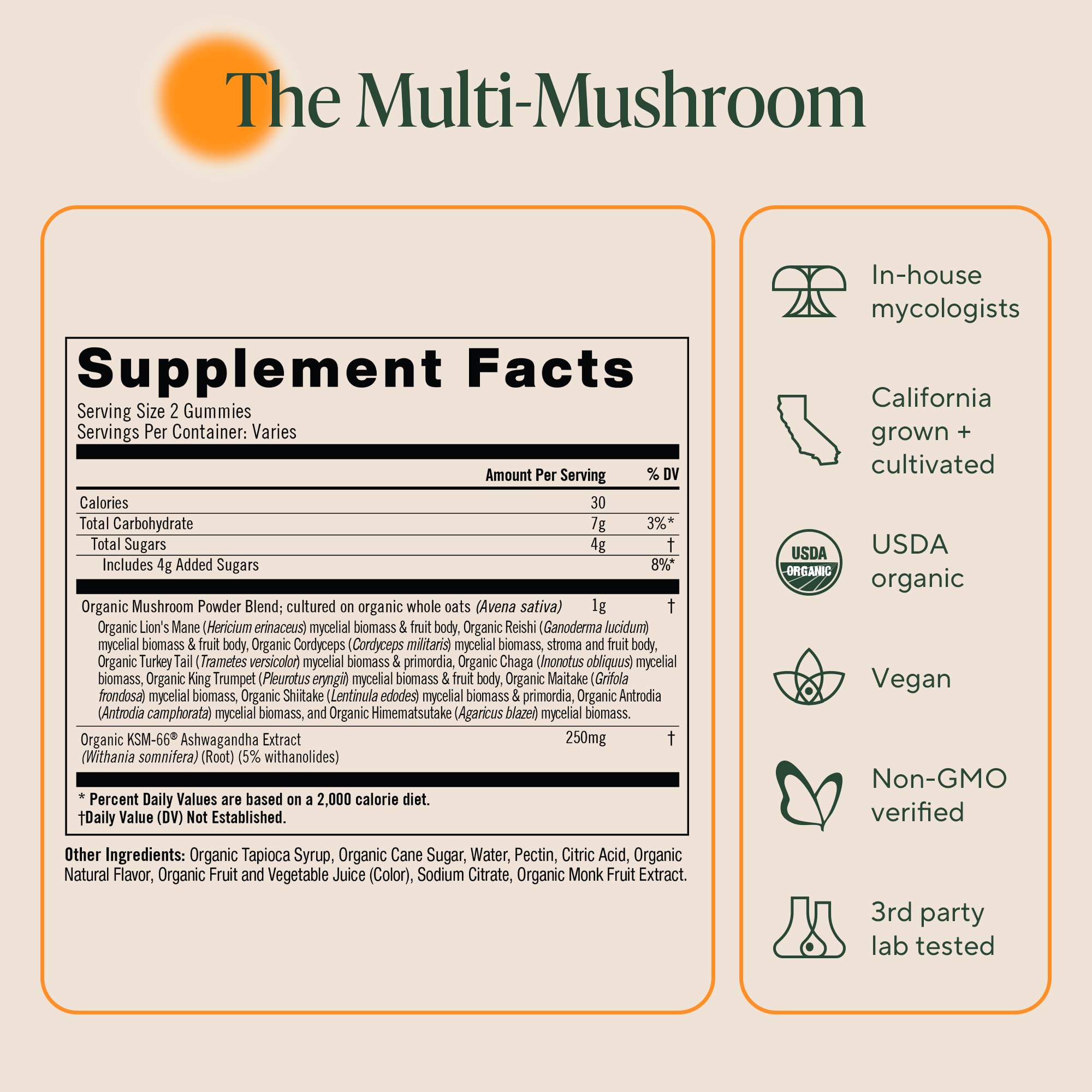 OM MUSHROOM SUPERFOOD Organic Mushroom Powder Blend in a bowl