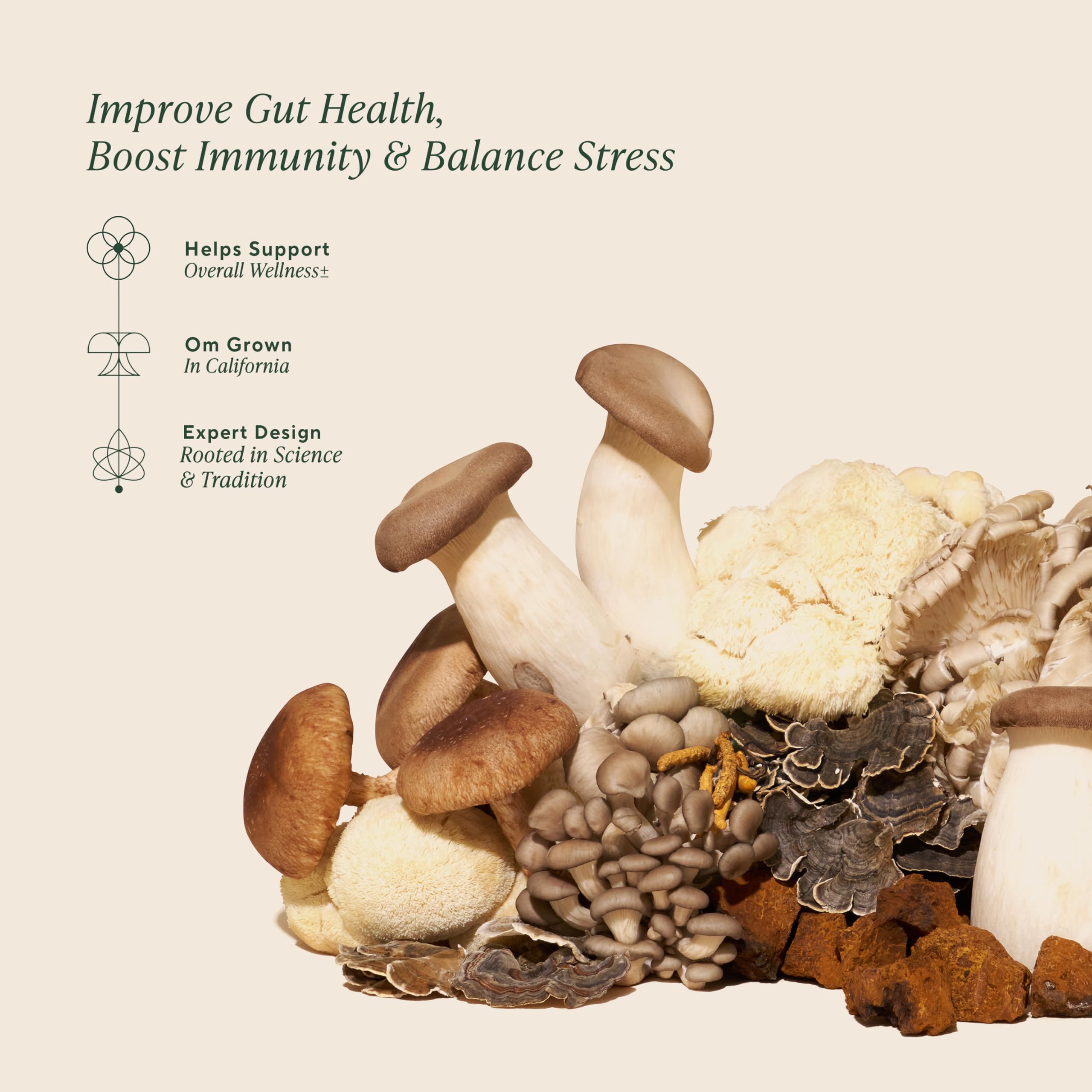 OM MUSHROOM SUPERFOOD Organic Mushroom Powder Blend ingredient list