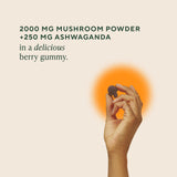 OM MUSHROOM SUPERFOOD Organic Mushroom Powder Blend packaging