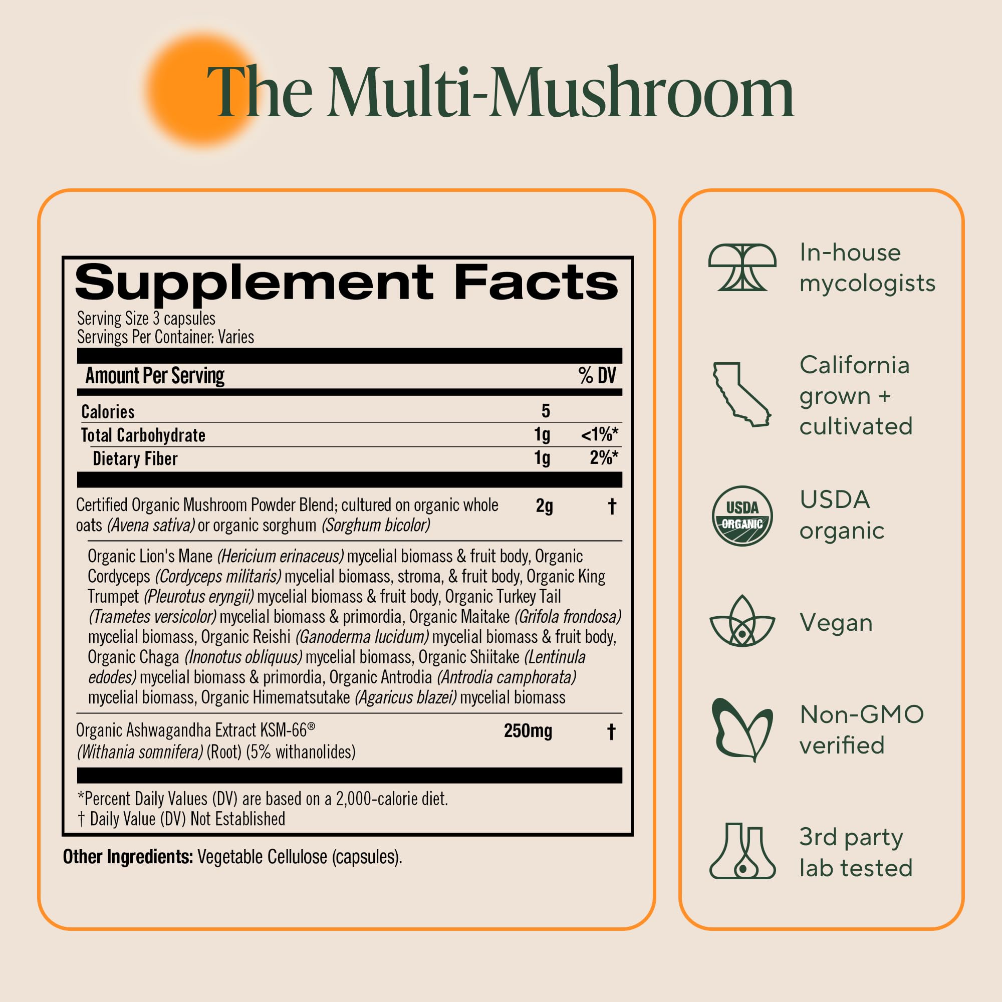OM MUSHROOM SUPERFOOD Organic Mushroom Supplement with measuring spoon