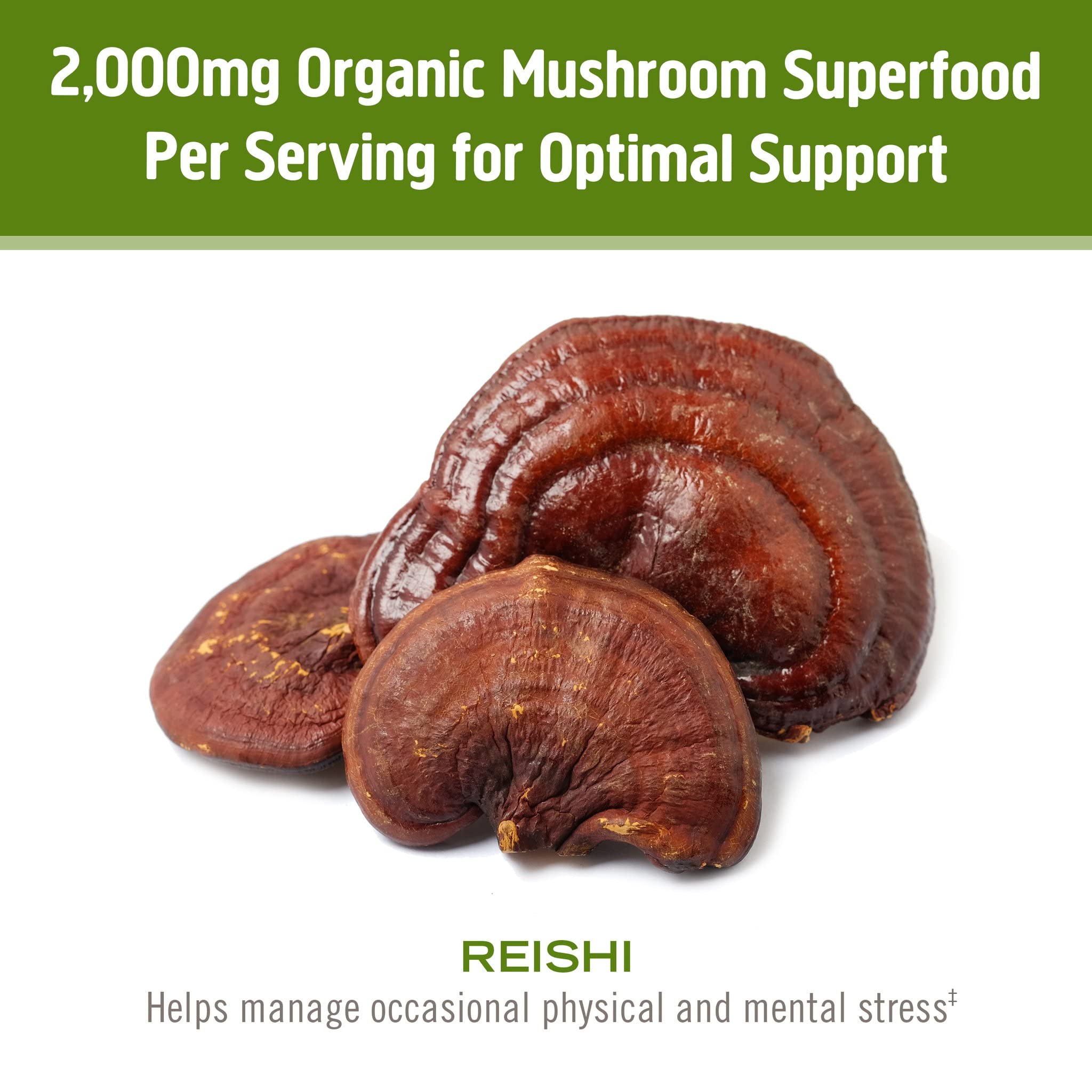 OM MUSHROOM SUPERFOOD Reishi Mushroom Powder mixed in a smoothie